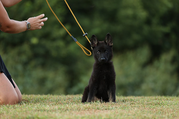 A44I7581