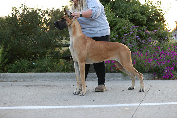 A44I8875