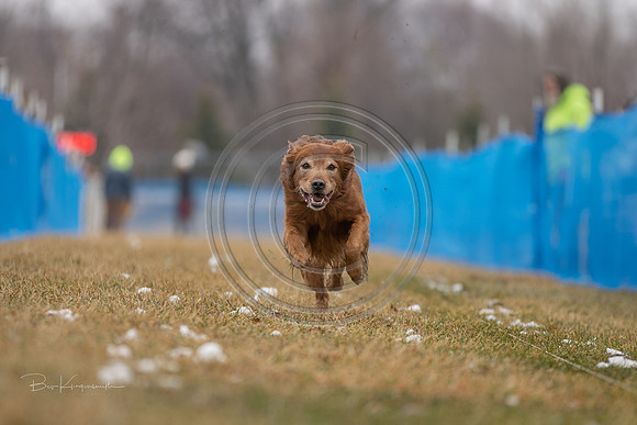 A44I1313