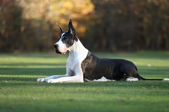 A44I9562