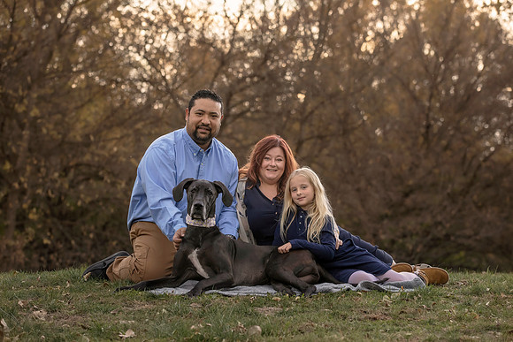 A44I1127e