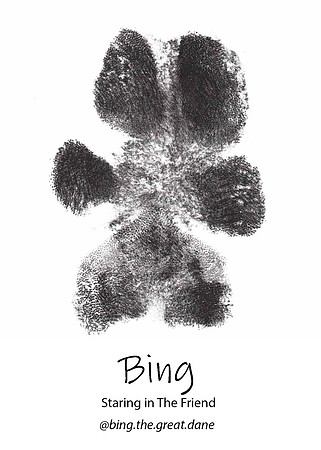 Bing-paw-tagraph-insta-sized3