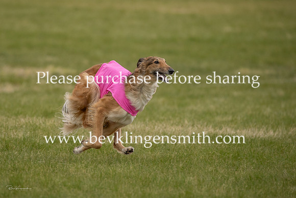 A44I3238