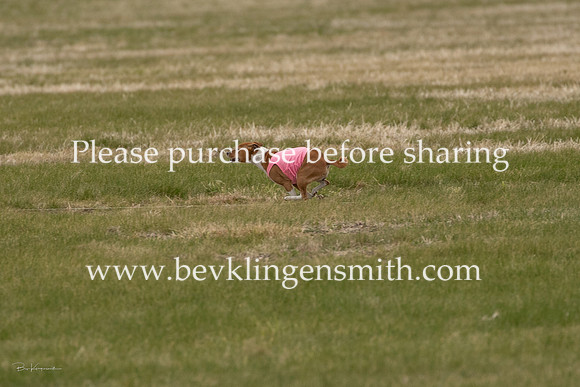 A44I3515