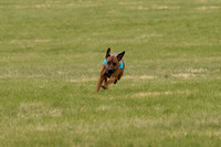 A44I3627