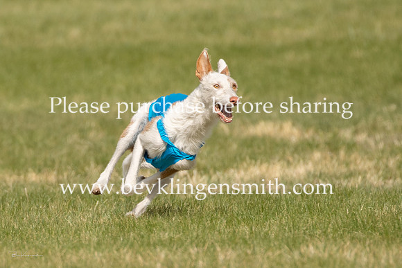 A44I4018