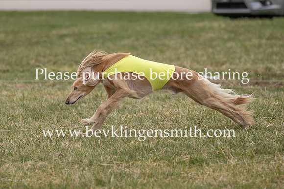 A44I5013