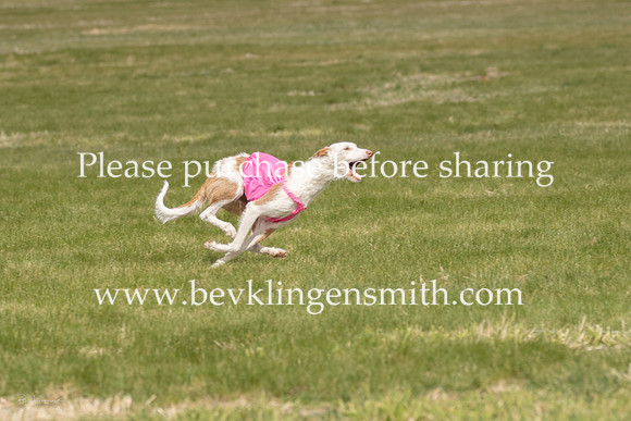 A44I5441