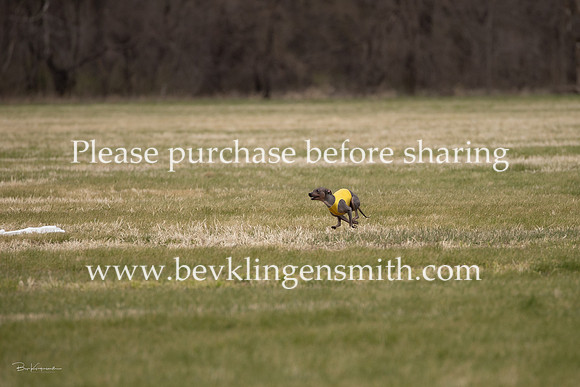 A44I7621