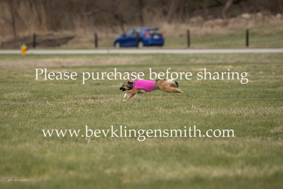 A44I7917