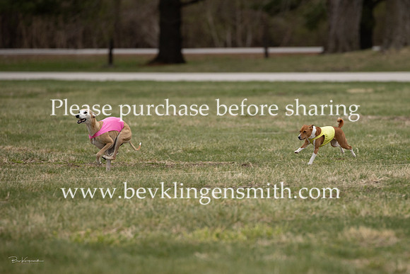 A44I2495