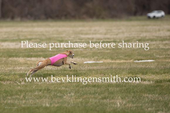 A44I2540