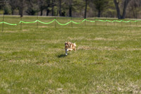 A44I3249