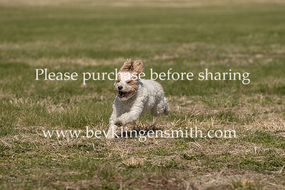 A44I4532