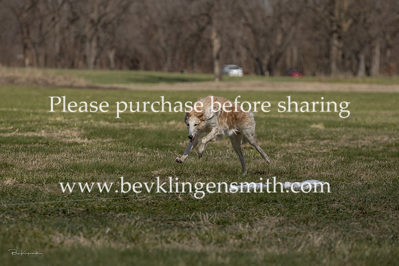 A44I4538