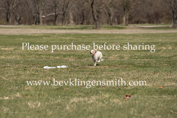 A44I4748