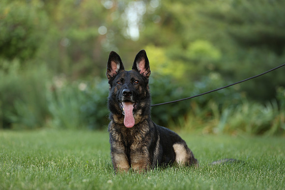 A44I7466