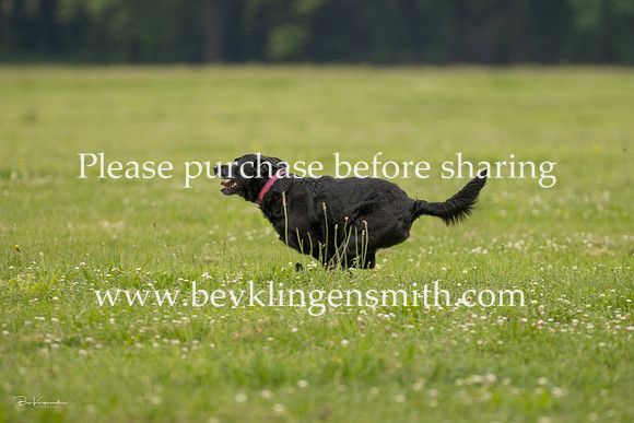 A44I1129-0329