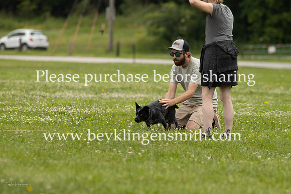 A44I1503-0175