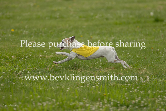 A44I8689-1455
