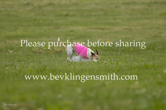 A44I8845-1383