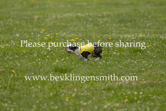 A44I9085-1253