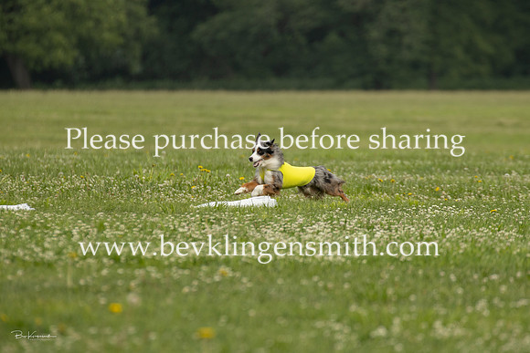 A44I2229-3248