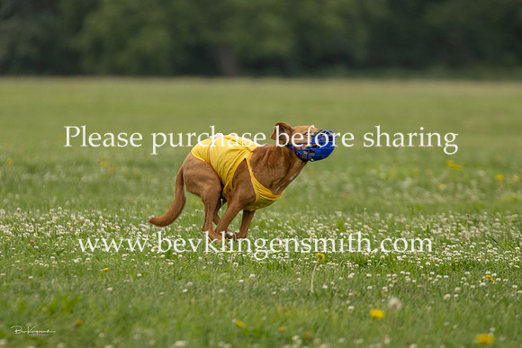 A44I2401-3138