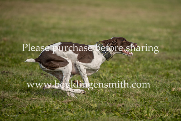 20261024-A44I1913