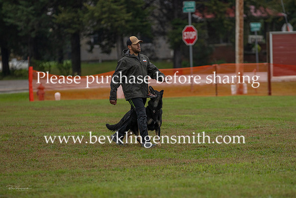 A44I5978