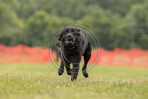 A44I1655