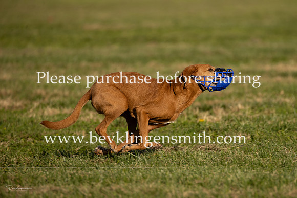 20261024-A44I0299