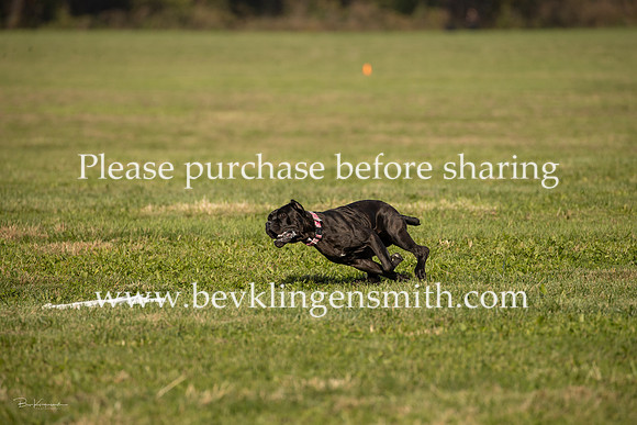 20261024-A44I1502