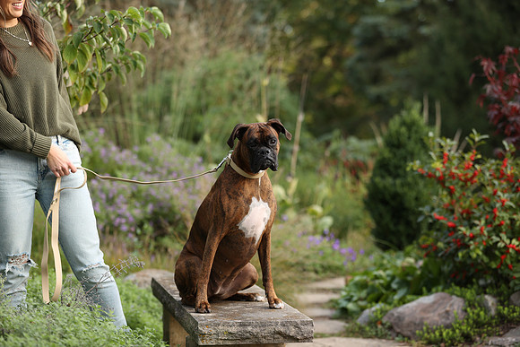 A44I7957