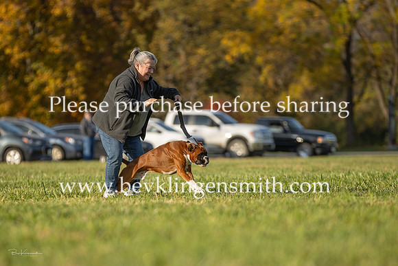 20261025-A44I4312