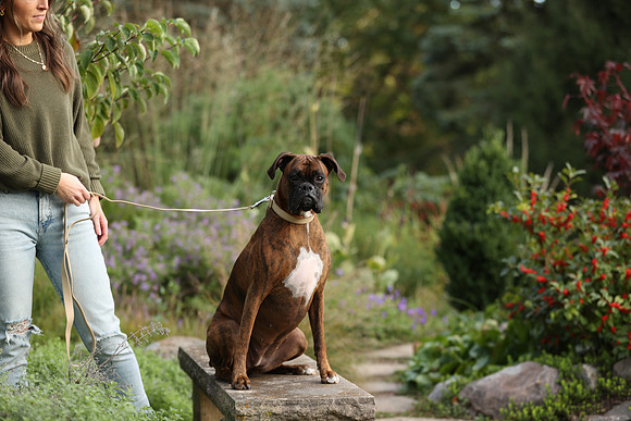 A44I7955