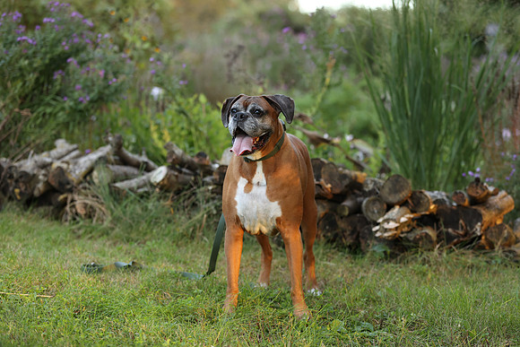 A44I8134