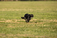 20261024-A44I1011