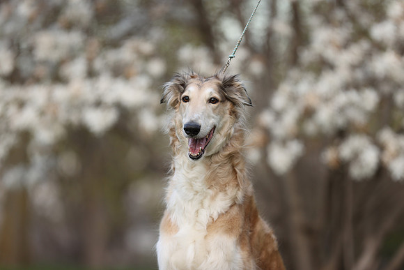 A44I2169