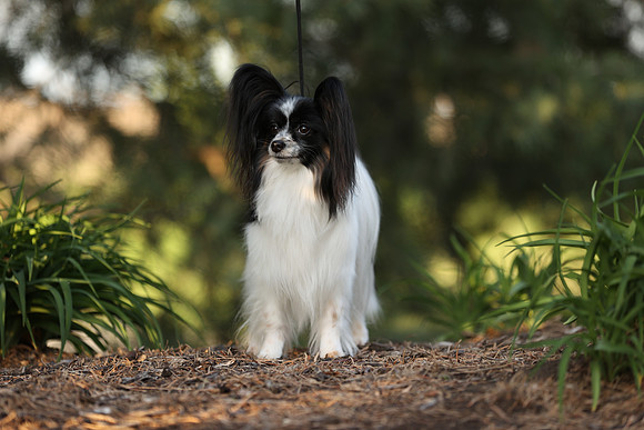 A44I7138