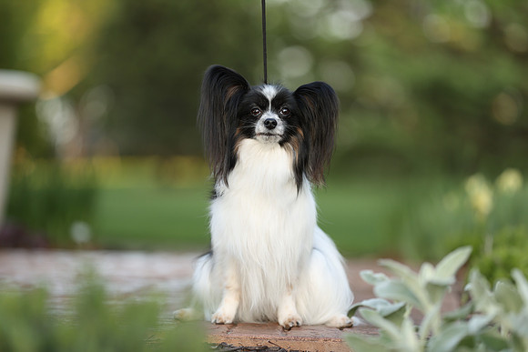 A44I7172