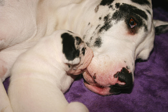 Giving Mommy kisses