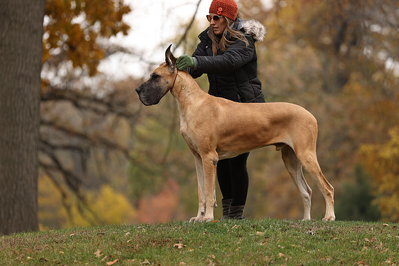 A44I8263