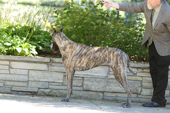 604A6093