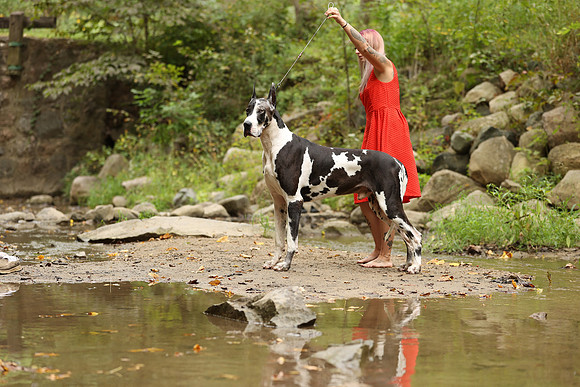 A44I5850