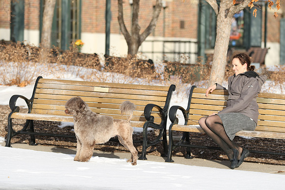 604A2976