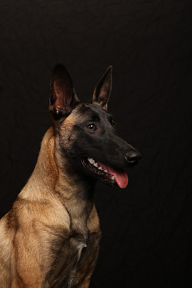 604A4955