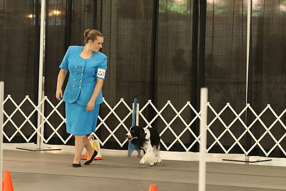 604A7541