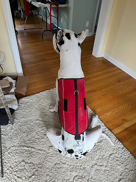 Vest1-Back-Bing