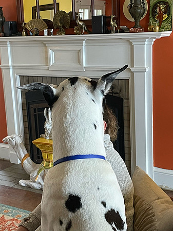 Back-of-head-Adam